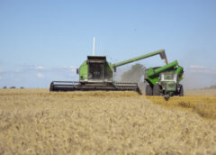 El PBI creció 2,3% en el primer trimestre, con subas del agro, minería y finanzas