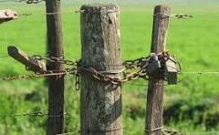 Productores impulsan un proyecto de ley para endurecer las penas al vandalismo rural