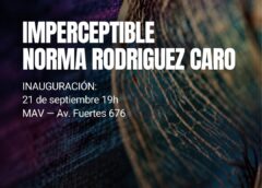 Se presentara en Coronel Dorrego la obra artistica  » imperceptible» de la artista Norma Rodriguez Caro