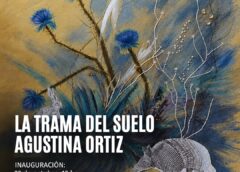 “La trama del suelo» en el  Museo de Artes Visuales de Coronel Dorrego