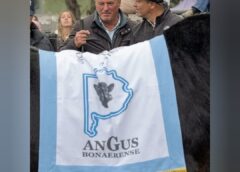 Gran actuación de Cabañas de Coronel Dorrego en Coronel Suárez