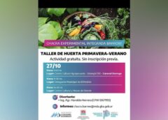 Taller de huerta primavera-verano en Coronel Dorrego