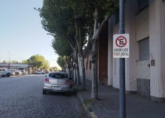Este jueves habrá reunión abierta para constituir el Consejo del Arbolado Público en Coronel Dorrego